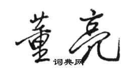 骆恒光董亮行书个性签名怎么写
