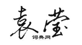 骆恒光袁莹行书个性签名怎么写