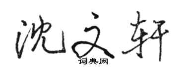骆恒光沈文轩行书个性签名怎么写