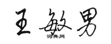 骆恒光王敏男行书个性签名怎么写