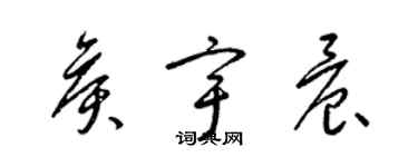 梁锦英侯宇晨草书个性签名怎么写