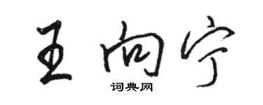 骆恒光王向宁行书个性签名怎么写