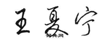 骆恒光王夏宁行书个性签名怎么写
