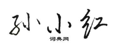 骆恒光孙小红行书个性签名怎么写