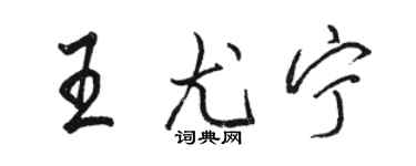 骆恒光王尤宁行书个性签名怎么写