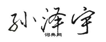骆恒光孙泽宇行书个性签名怎么写