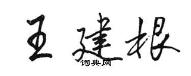 骆恒光王建根行书个性签名怎么写