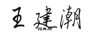 骆恒光王建潮行书个性签名怎么写