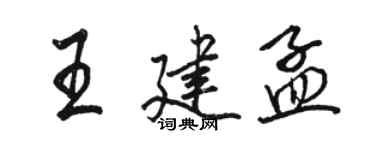 骆恒光王建孟行书个性签名怎么写