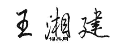 骆恒光王湘建行书个性签名怎么写