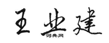骆恒光王业建行书个性签名怎么写