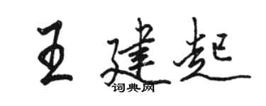 骆恒光王建起行书个性签名怎么写