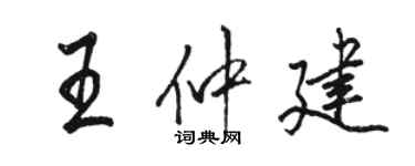 骆恒光王仲建行书个性签名怎么写