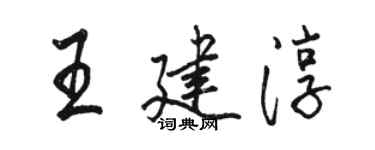 骆恒光王建淳行书个性签名怎么写