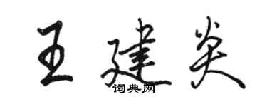 骆恒光王建炎行书个性签名怎么写