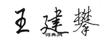 骆恒光王建攀行书个性签名怎么写