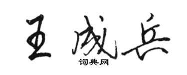 骆恒光王成兵行书个性签名怎么写