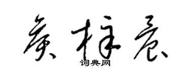 梁锦英侯梓晨草书个性签名怎么写