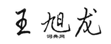 骆恒光王旭龙行书个性签名怎么写
