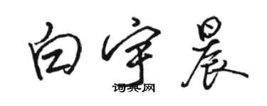 骆恒光白宇晨行书个性签名怎么写