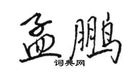 骆恒光孟鹏行书个性签名怎么写