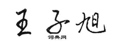 骆恒光王子旭行书个性签名怎么写