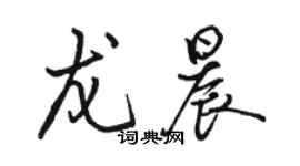 骆恒光龙晨行书个性签名怎么写
