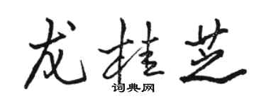 骆恒光龙桂芝行书个性签名怎么写