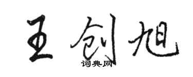 骆恒光王创旭行书个性签名怎么写
