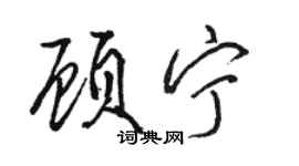 骆恒光顾宁行书个性签名怎么写