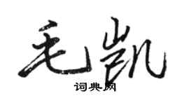 骆恒光毛凯行书个性签名怎么写