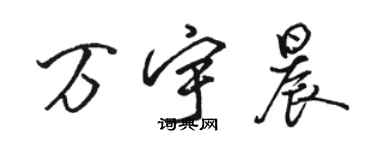 骆恒光万宇晨行书个性签名怎么写