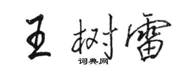 骆恒光王树雷行书个性签名怎么写