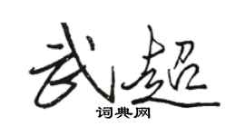 骆恒光武超行书个性签名怎么写