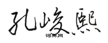 骆恒光孔峻熙行书个性签名怎么写