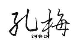 骆恒光孔梅行书个性签名怎么写