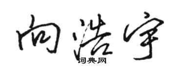 骆恒光向浩宇行书个性签名怎么写