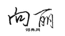 骆恒光向丽行书个性签名怎么写
