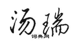 骆恒光汤瑞行书个性签名怎么写
