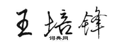 骆恒光王培锋行书个性签名怎么写