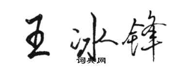 骆恒光王冰锋行书个性签名怎么写