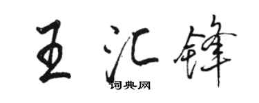 骆恒光王汇锋行书个性签名怎么写