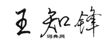 骆恒光王知锋行书个性签名怎么写