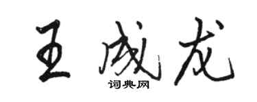 骆恒光王成龙行书个性签名怎么写