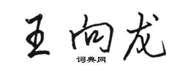 骆恒光王向龙行书个性签名怎么写