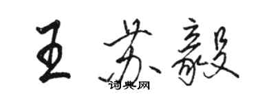 骆恒光王苏毅行书个性签名怎么写