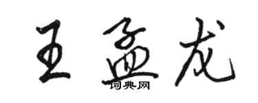 骆恒光王孟龙行书个性签名怎么写