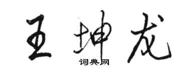 骆恒光王坤龙行书个性签名怎么写