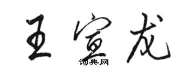 骆恒光王宣龙行书个性签名怎么写