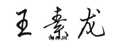 骆恒光王素龙行书个性签名怎么写